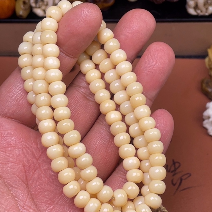 驼骨其他人工养殖