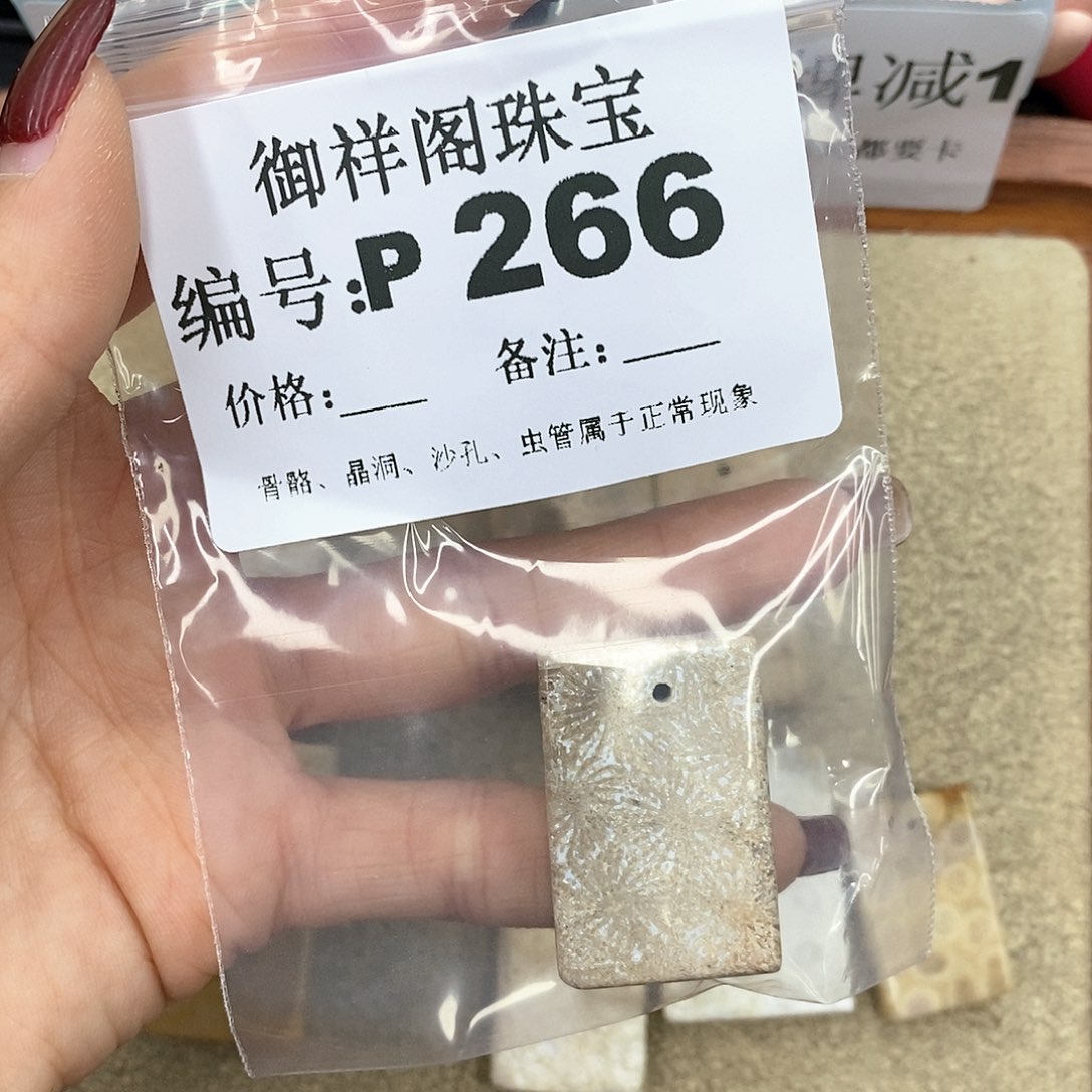 硅化珊瑚（珊瑚玉）P未镶嵌蝶*