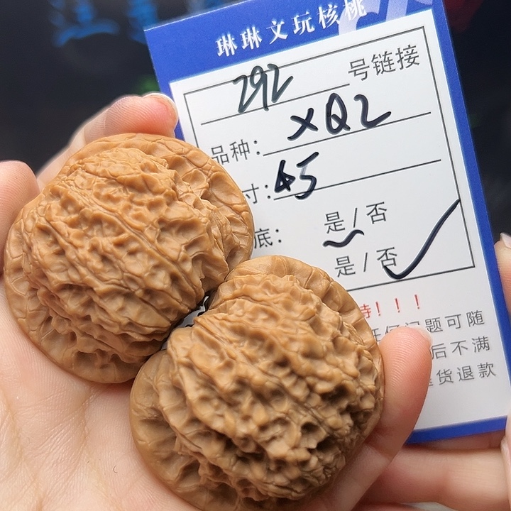 文玩核桃吊坠核桃树292