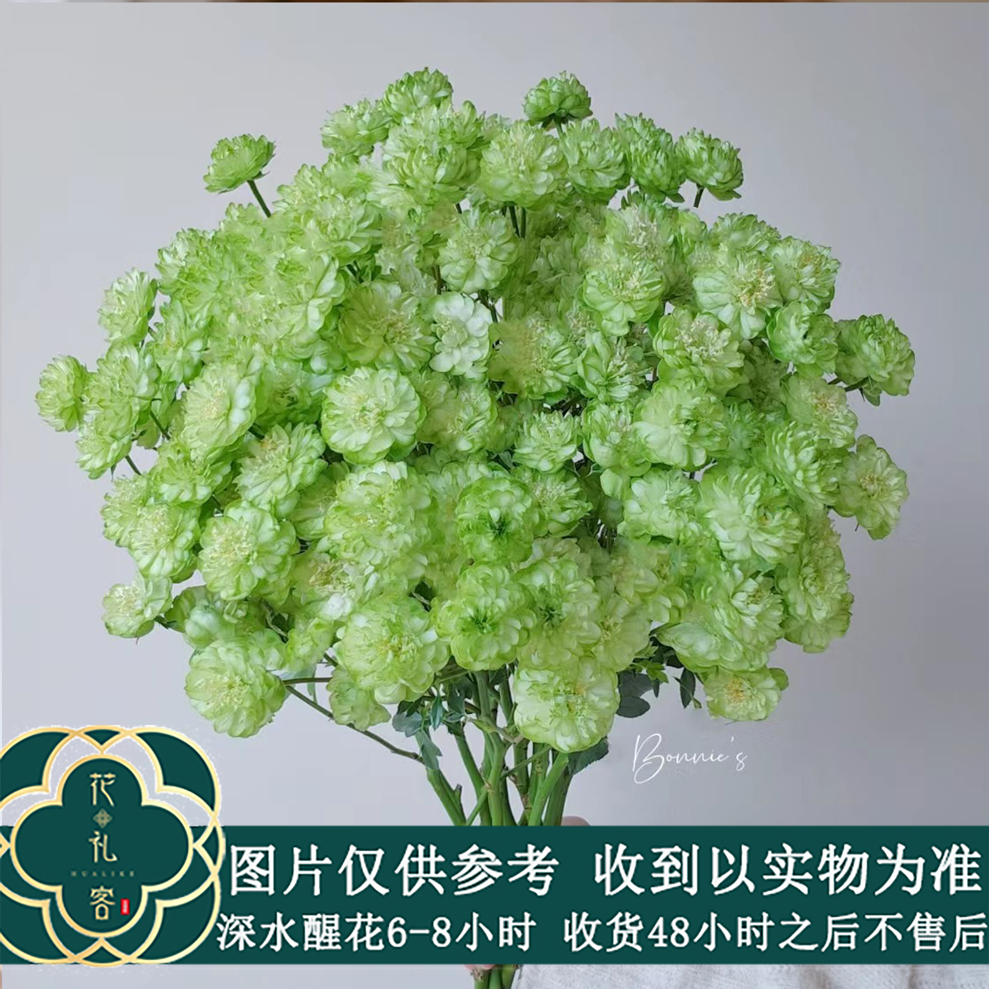 云花巷#多头玫瑰 【绿闪电】鲜花优选 顺丰直发