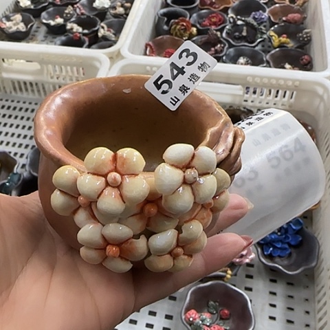 瓷片柴烧柴烧柴烧543