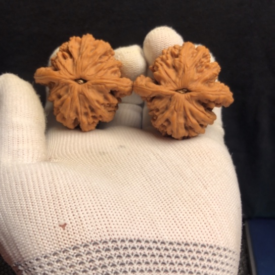 吊坠文玩核桃麦虎