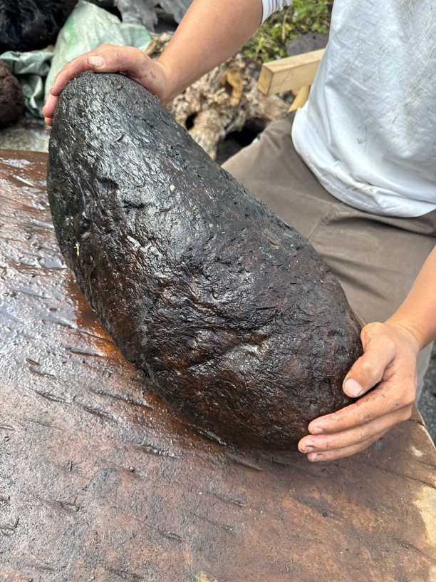 民间使用风化木阴沉木