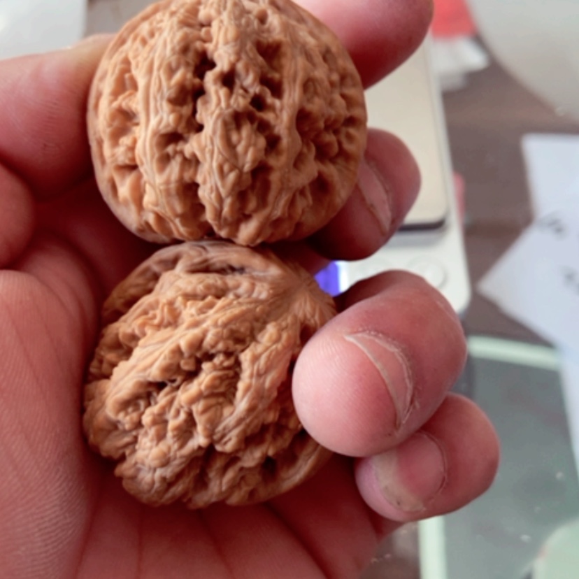 【闪购商品】凌****室40尺寸全品无修大粗筋