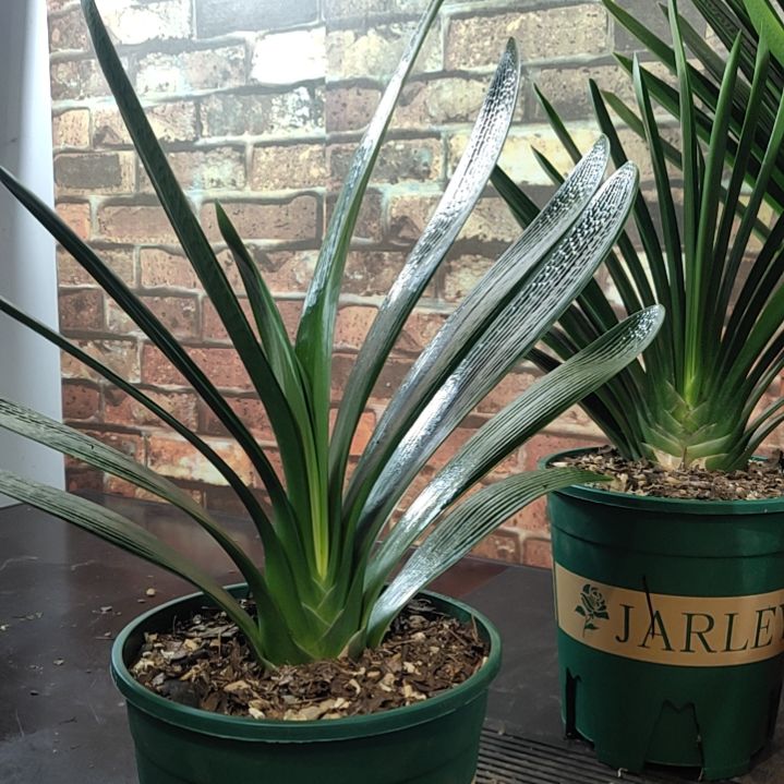 完全开放11111111111