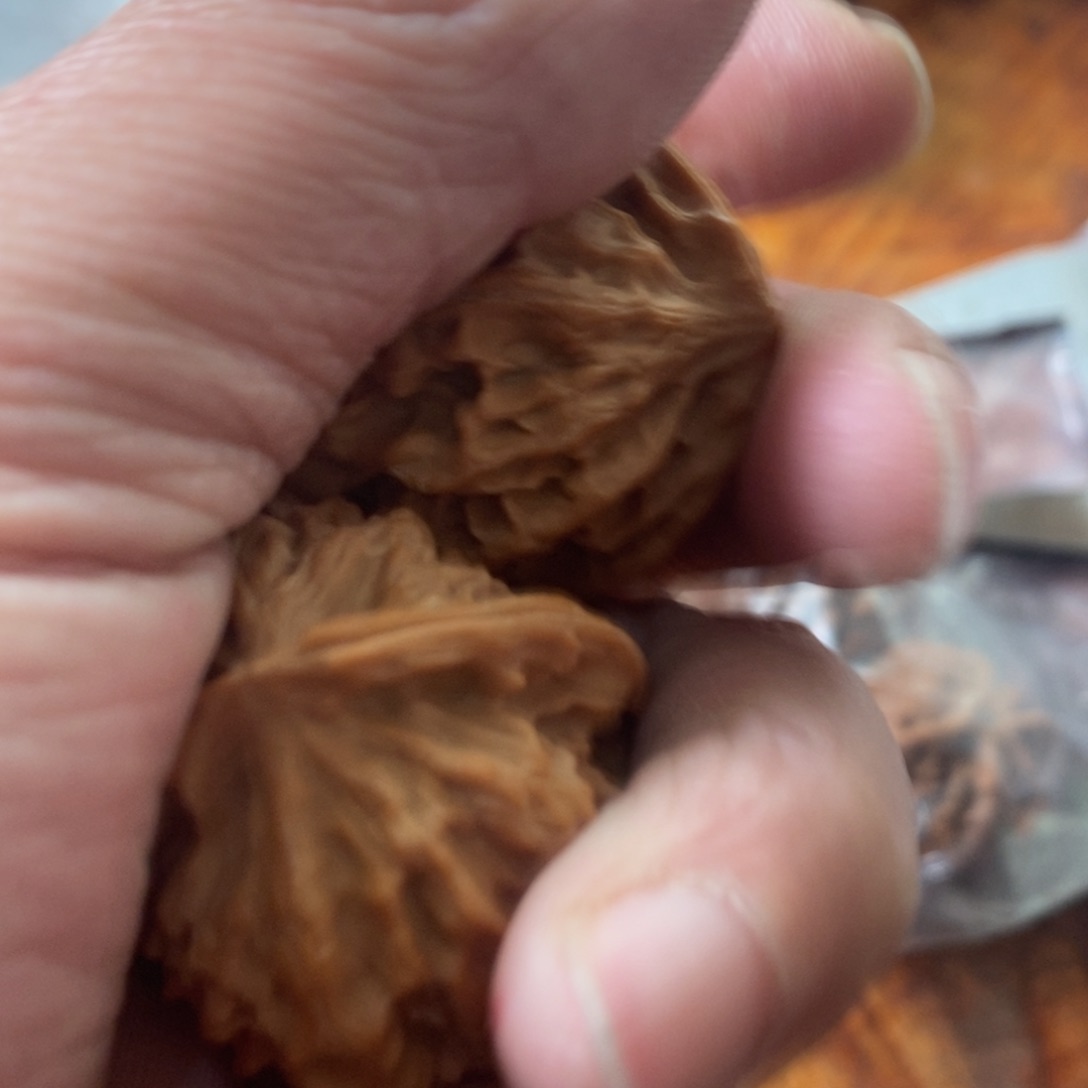 秦岭南侧和东北的山