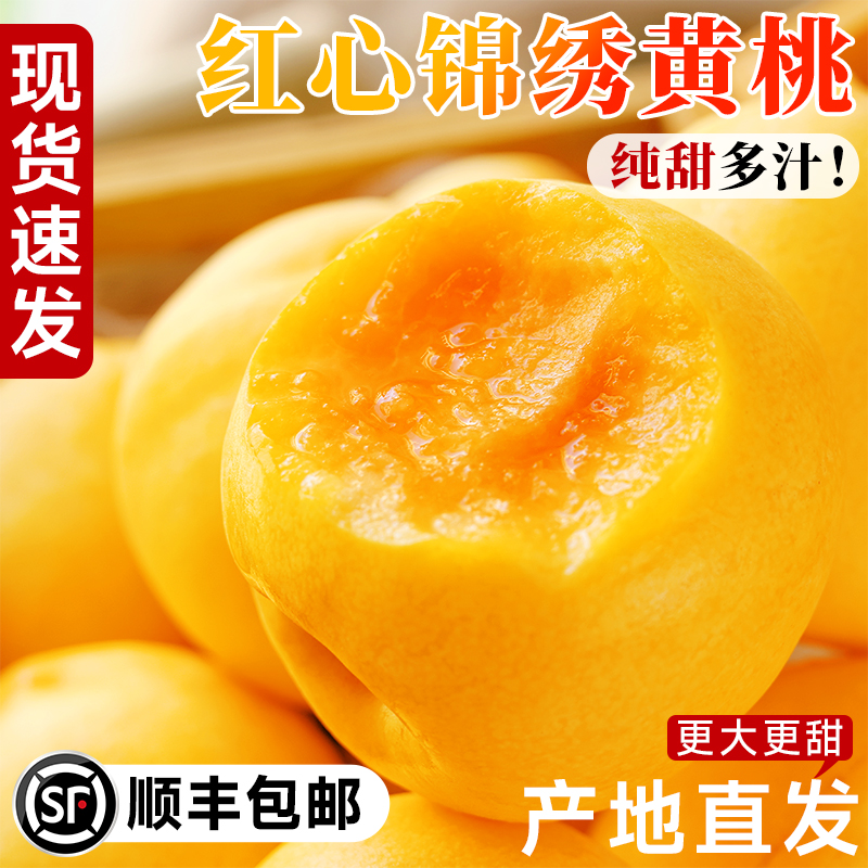 头茬锦绣黄桃5斤新鲜水果当季现摘桃子露天蜜桃黄肉毛桃大果整箱