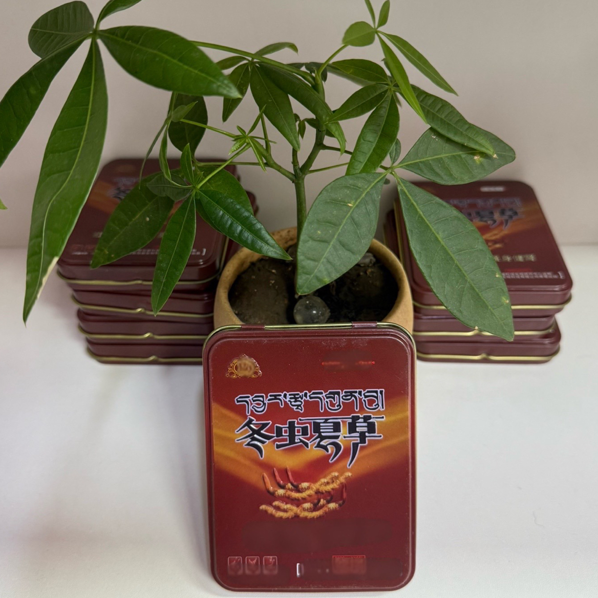 （升级款）正品虫草糖果男士必备