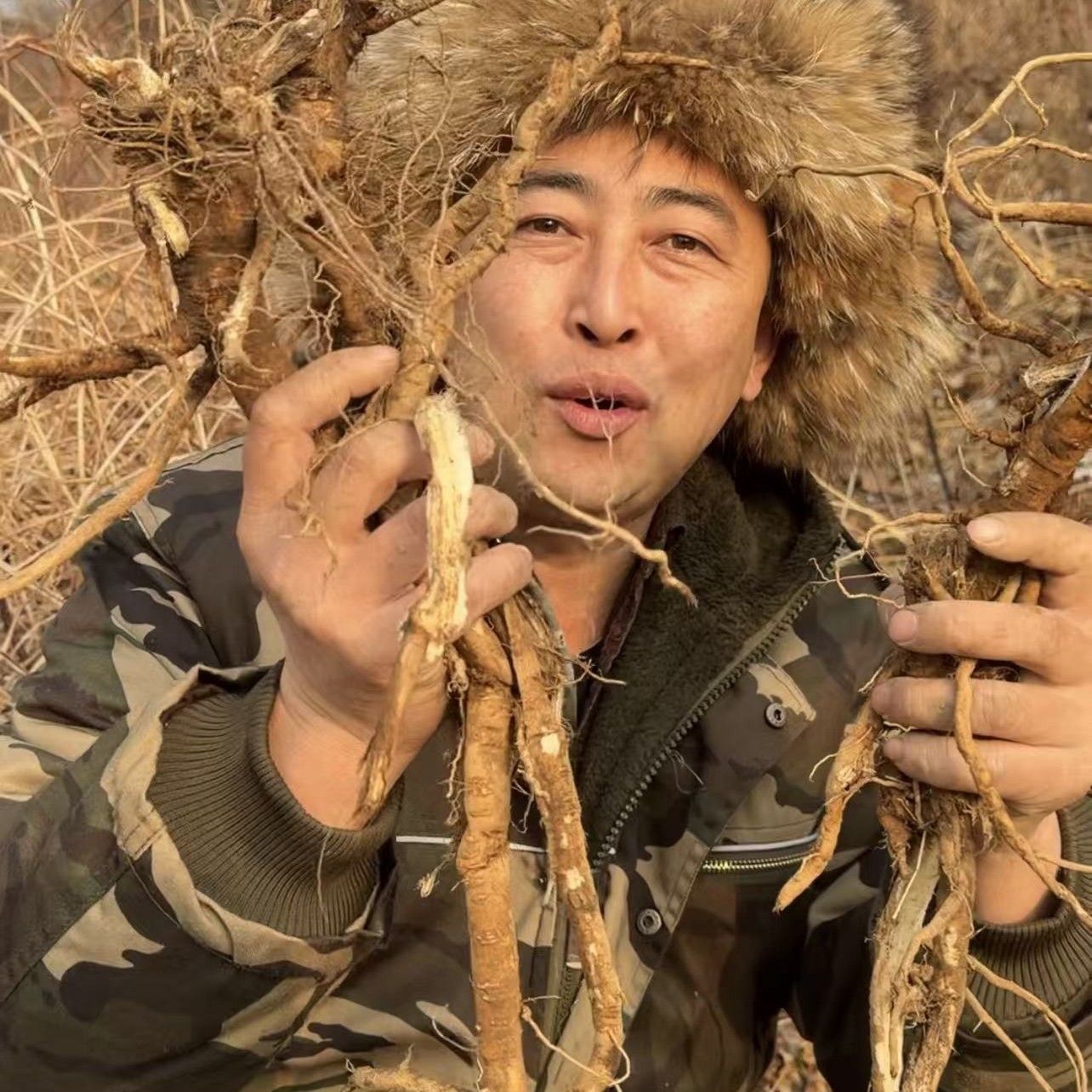 吉林长白山地区黄芪250克