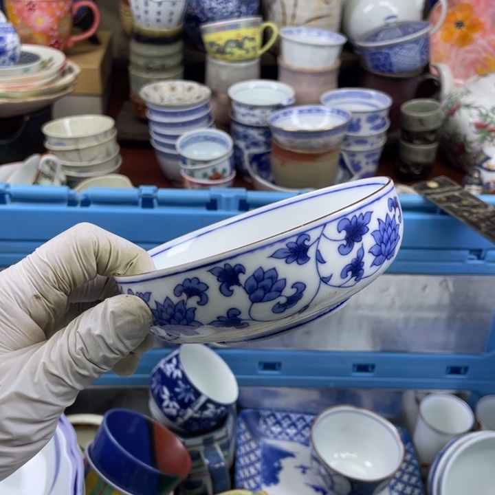 碟开播了开播了开播了