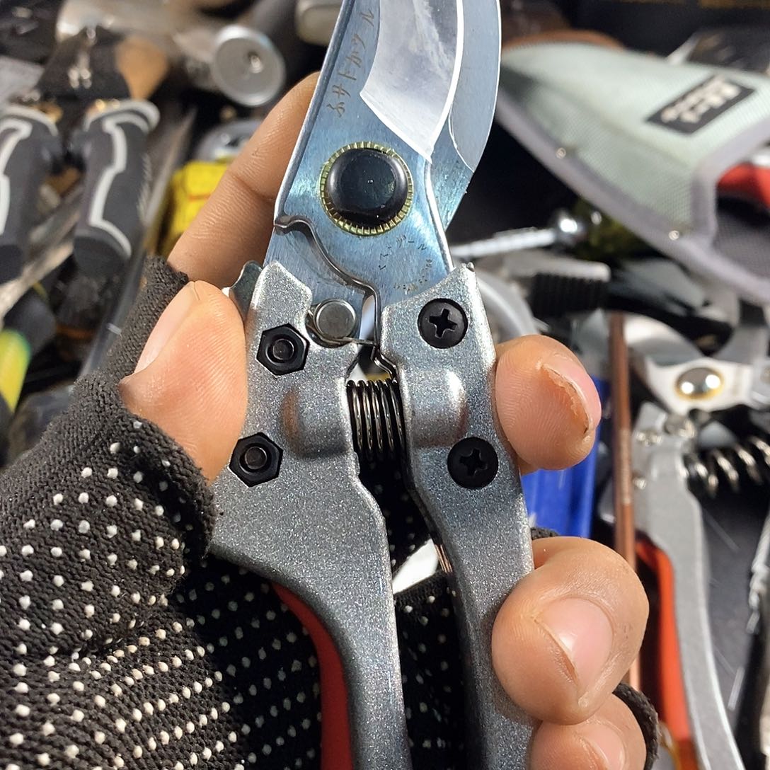 五块多了也能给人家了我