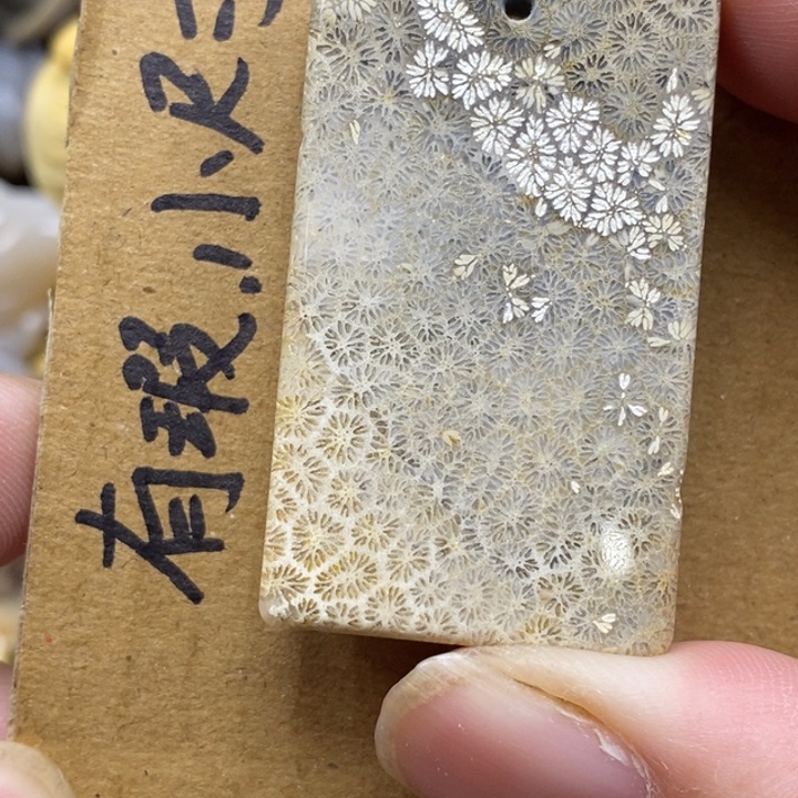 硅化珊瑚（珊瑚玉）未镶嵌颈饰