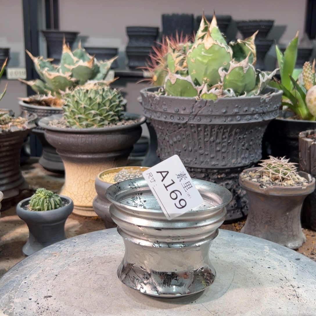 景德镇手工素里内口10高8