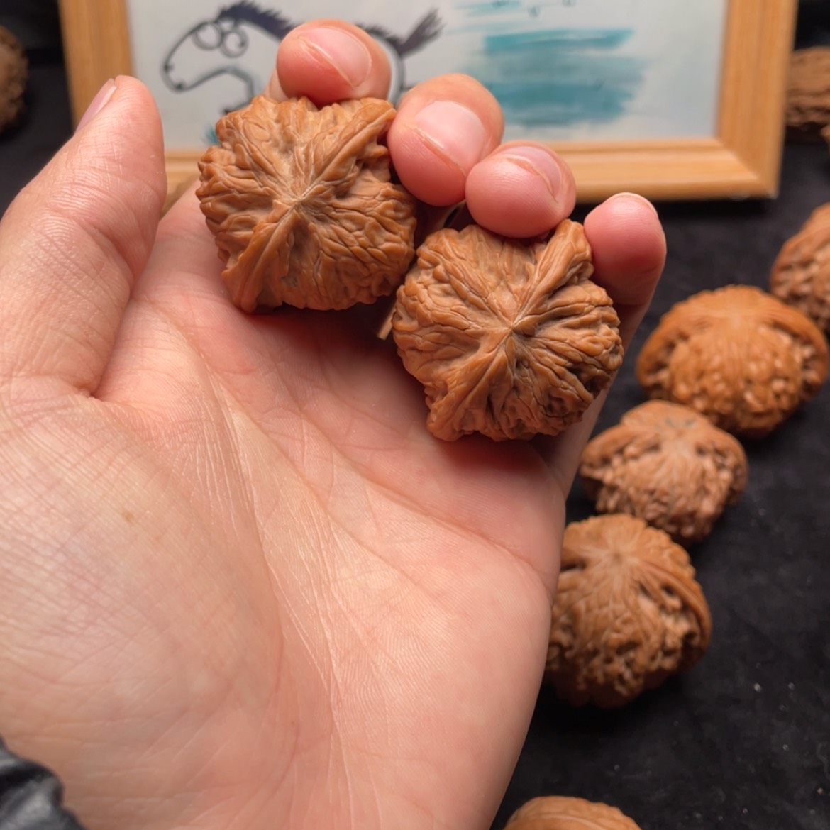 【闪购商品】文玩核桃把件全品对歪红皮