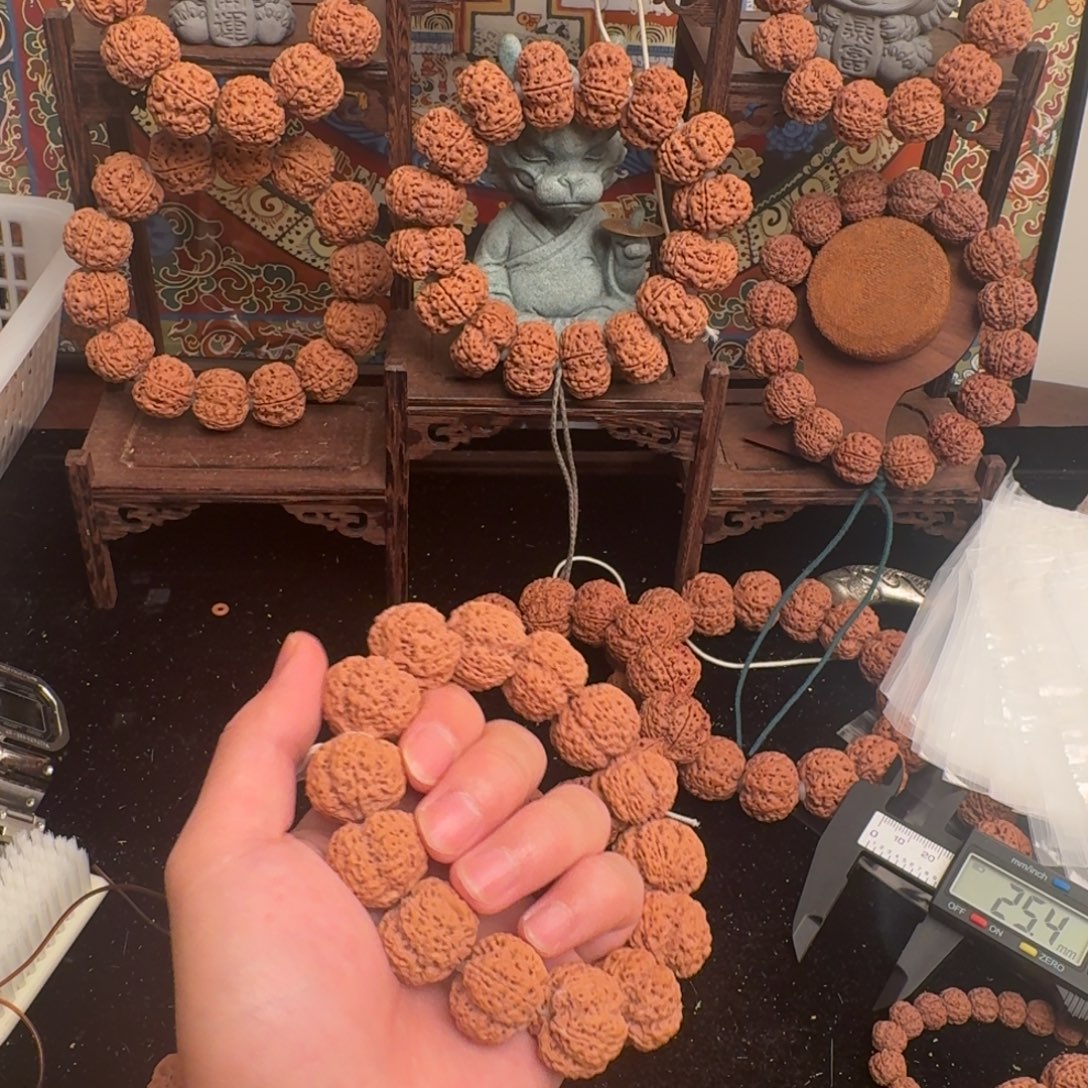 范***志吊坠金刚菩提228aaaaa