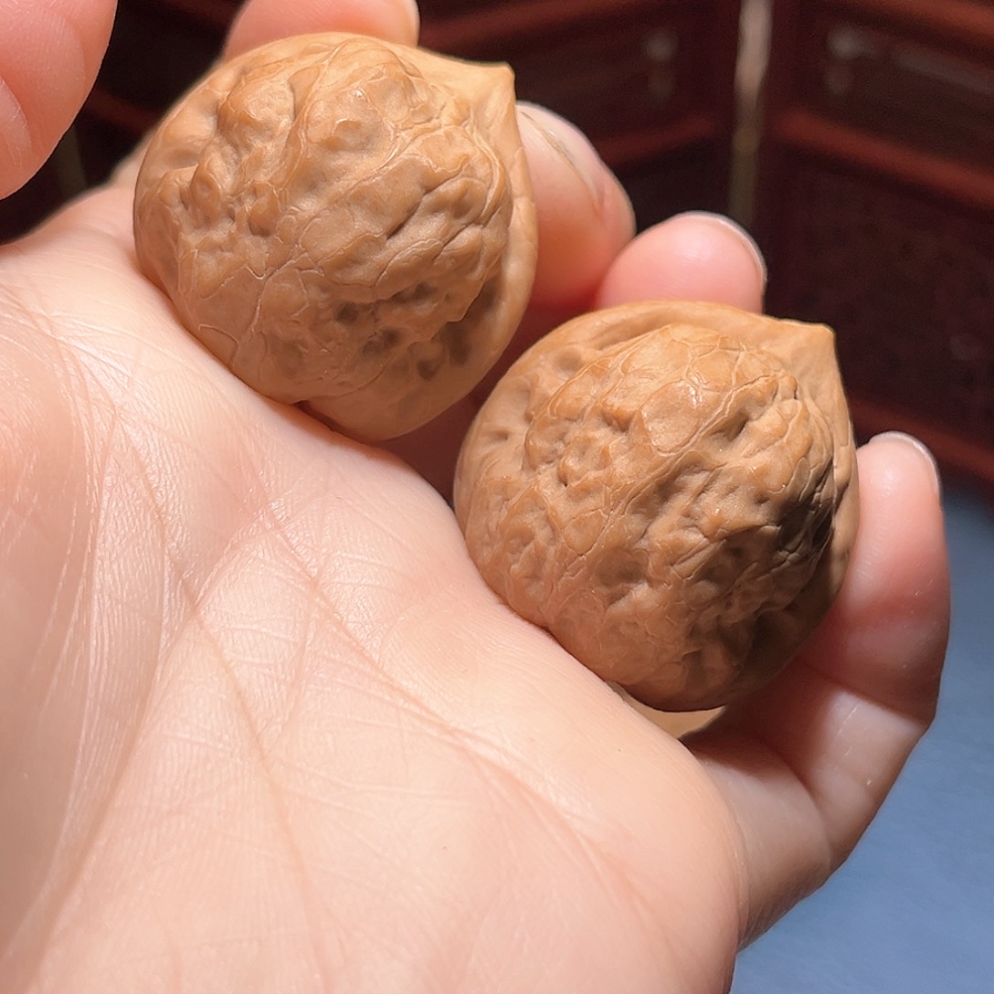 33全品古蟾……精品