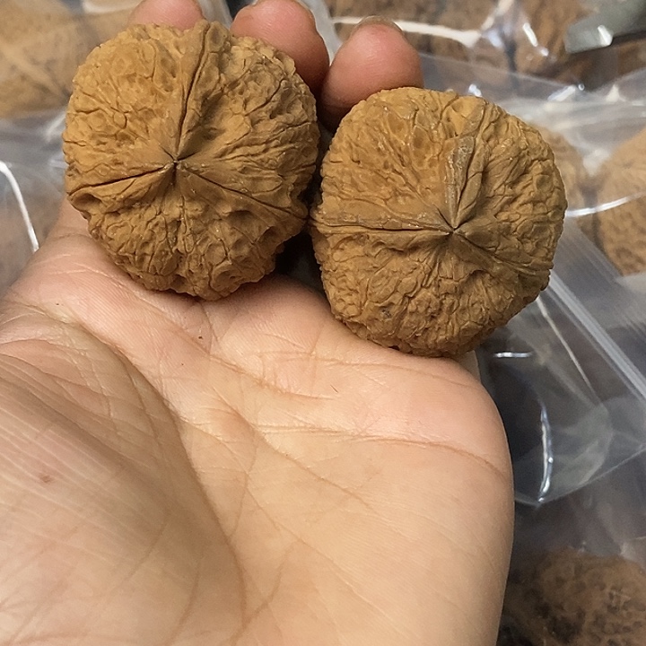 把件文玩核桃云南铁核桃基地60