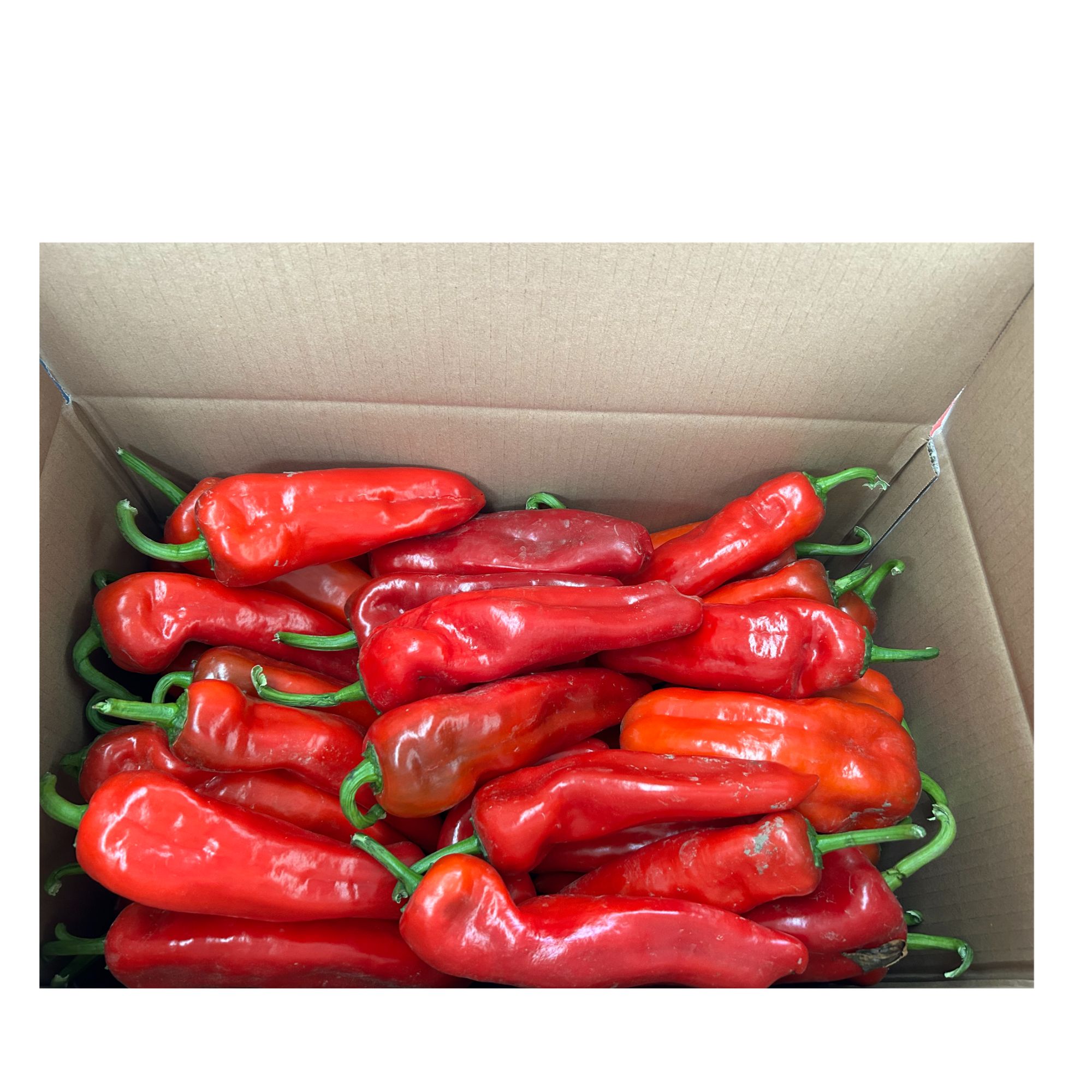 【淮安宇慧辣椒系列-淮安红椒】清江浦农家新鲜大红辣椒