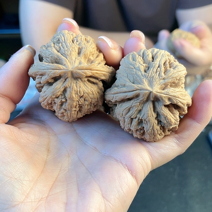 文玩核桃把件46粗筋100