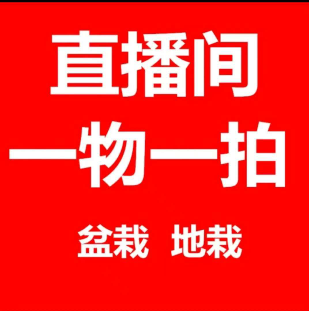 室内室外盆栽地栽