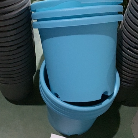 树脂编号450缺口