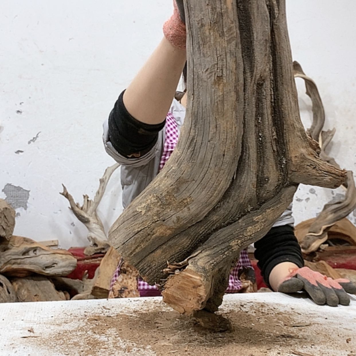 【闪购商品】柏木艺*阁我们都是好孩子