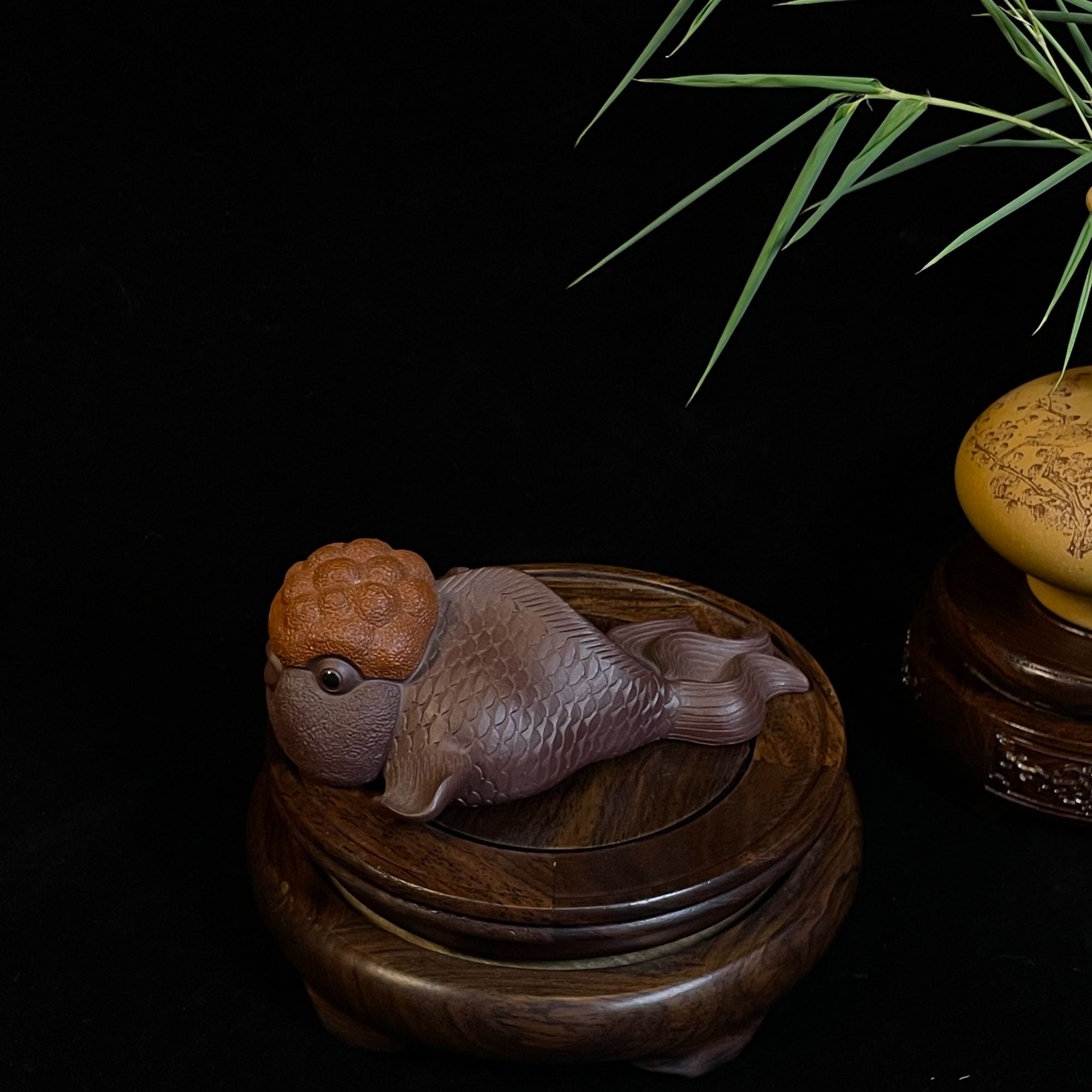 Z189 茶宠马坤 ZMK128609