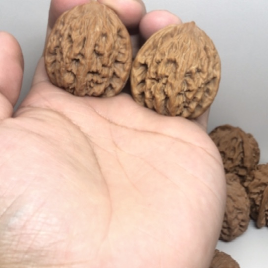 36加麦穗虎头核桃