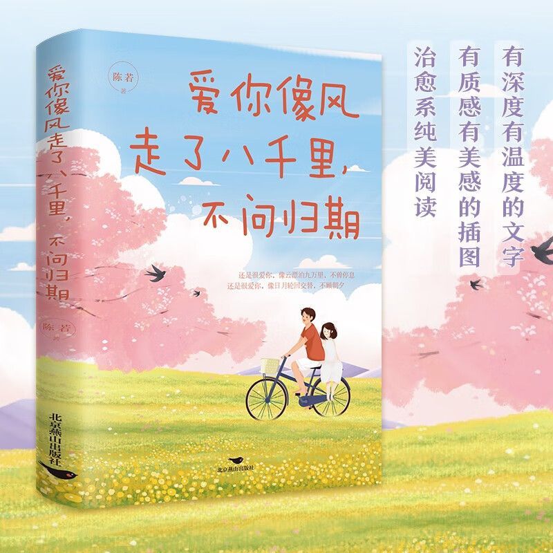 爱你像风走了八千里不问归期 有深度有温度治愈系青春情感轻小说