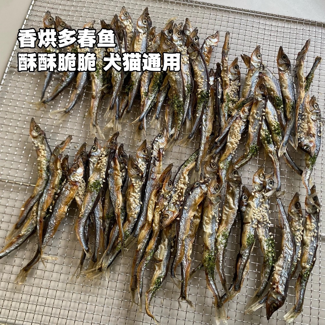 香脆烘干多春鱼猫狗零食