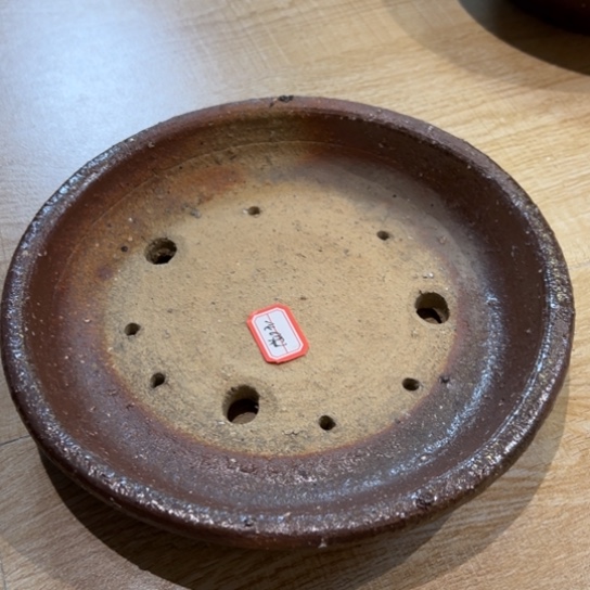 红陶一***托20///////////