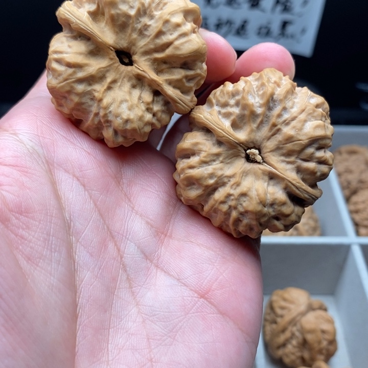 文玩核桃把件?*？蛤蟆