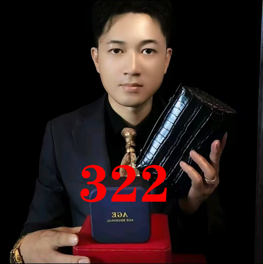 【HK-Weigang】322 新款进口女包