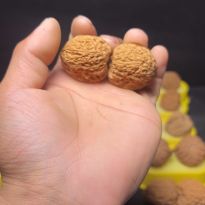 把件文玩核桃凹底拉丝龟背高庄34尺3