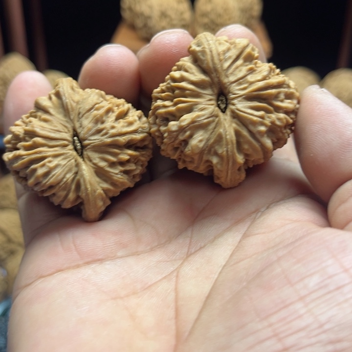 完全开放临**风南疆石