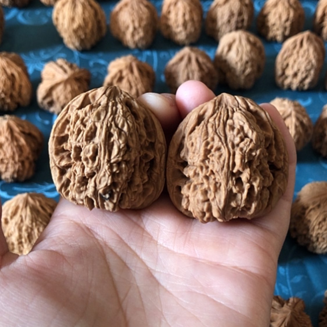 【闪购商品】文玩核桃把件一代将