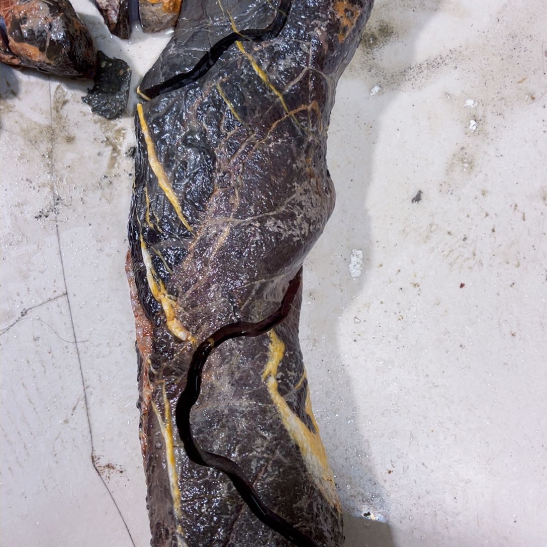 渡*附石盆景一物一拍