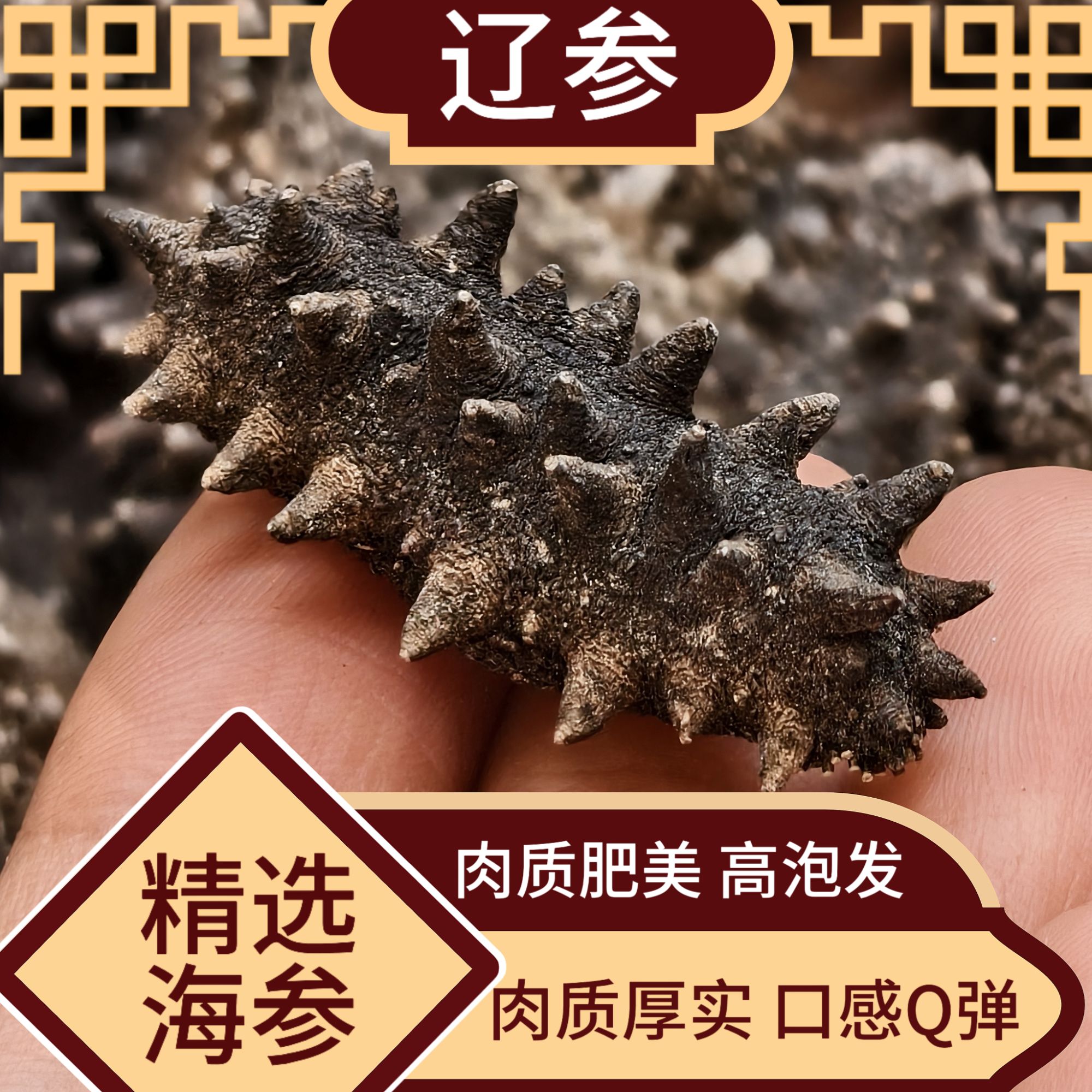 正宗高品质150头淡干小海参 海鲜干货干辽参非即食海参 高泡发