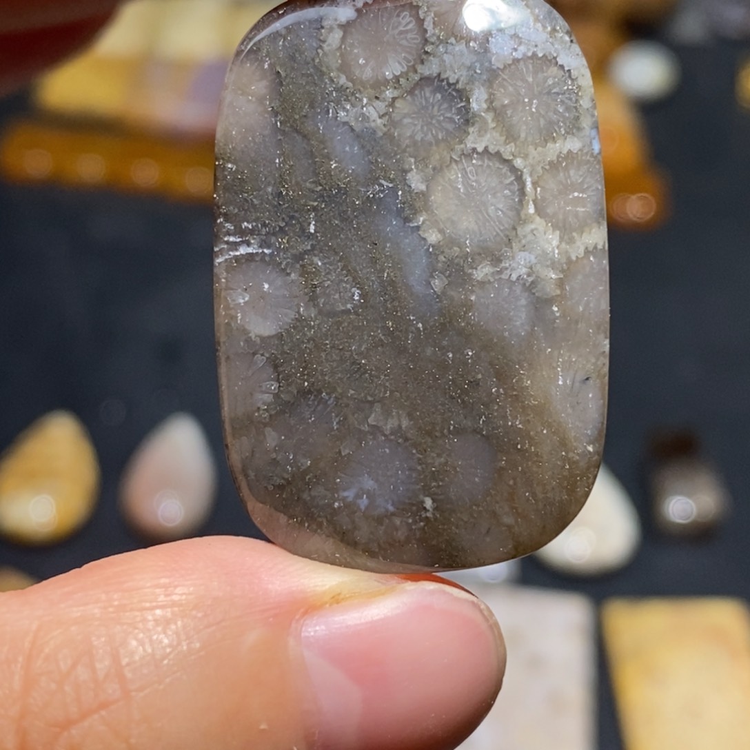 【闪购商品】硅化玉珊瑚玉未镶嵌