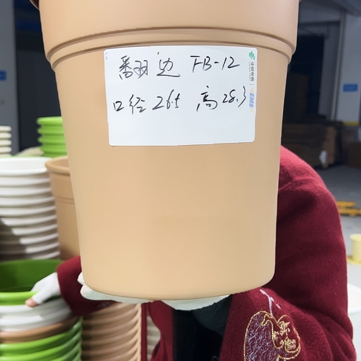 正品翻边口26.5高28.3米色5只无托