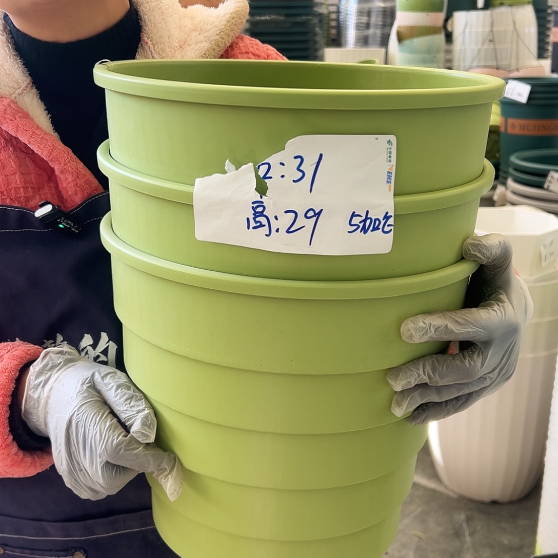 多孔5#果绿色3个无托