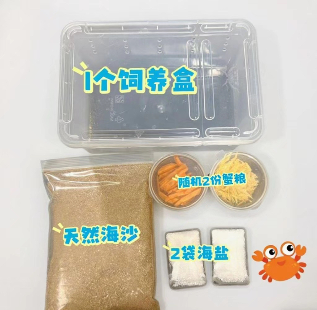 沙蟹爬宠专用小号饲养盒饲养套装懒人套盒