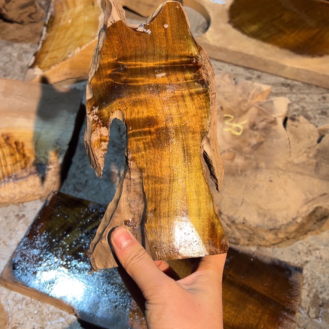 金丝楠222222222222