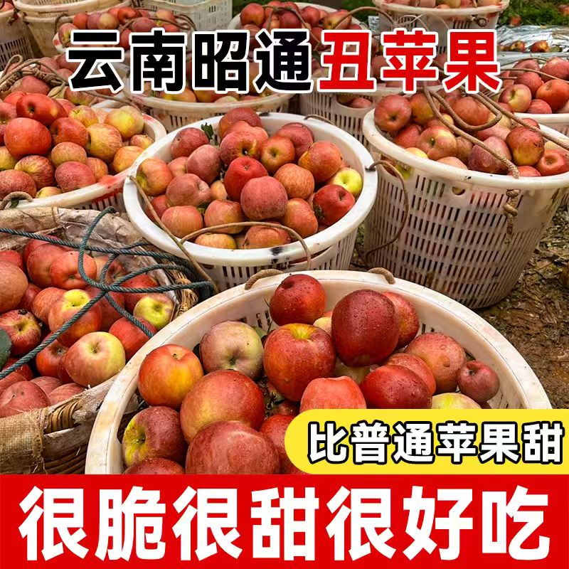 云南昭通丑苹果新鲜现摘脆甜多汁当季水果L