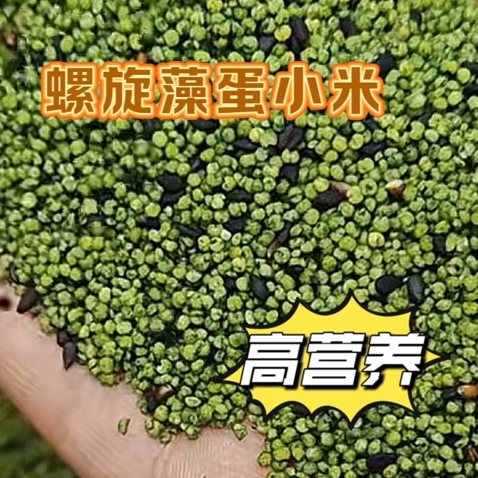 鹦鹉蛋小米营养粮食适合断奶期繁殖期雏鸟食用鹦鹉食粮