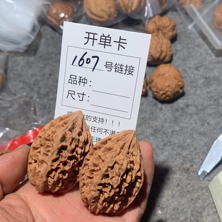 文玩核桃把件1607路哦哦哦哦哦哦哦哦