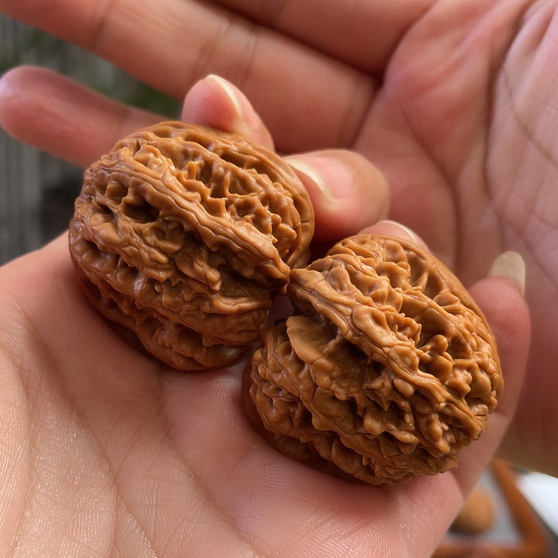 桃核把件37×39尺全品蓟县红马蹄CN0952已打底