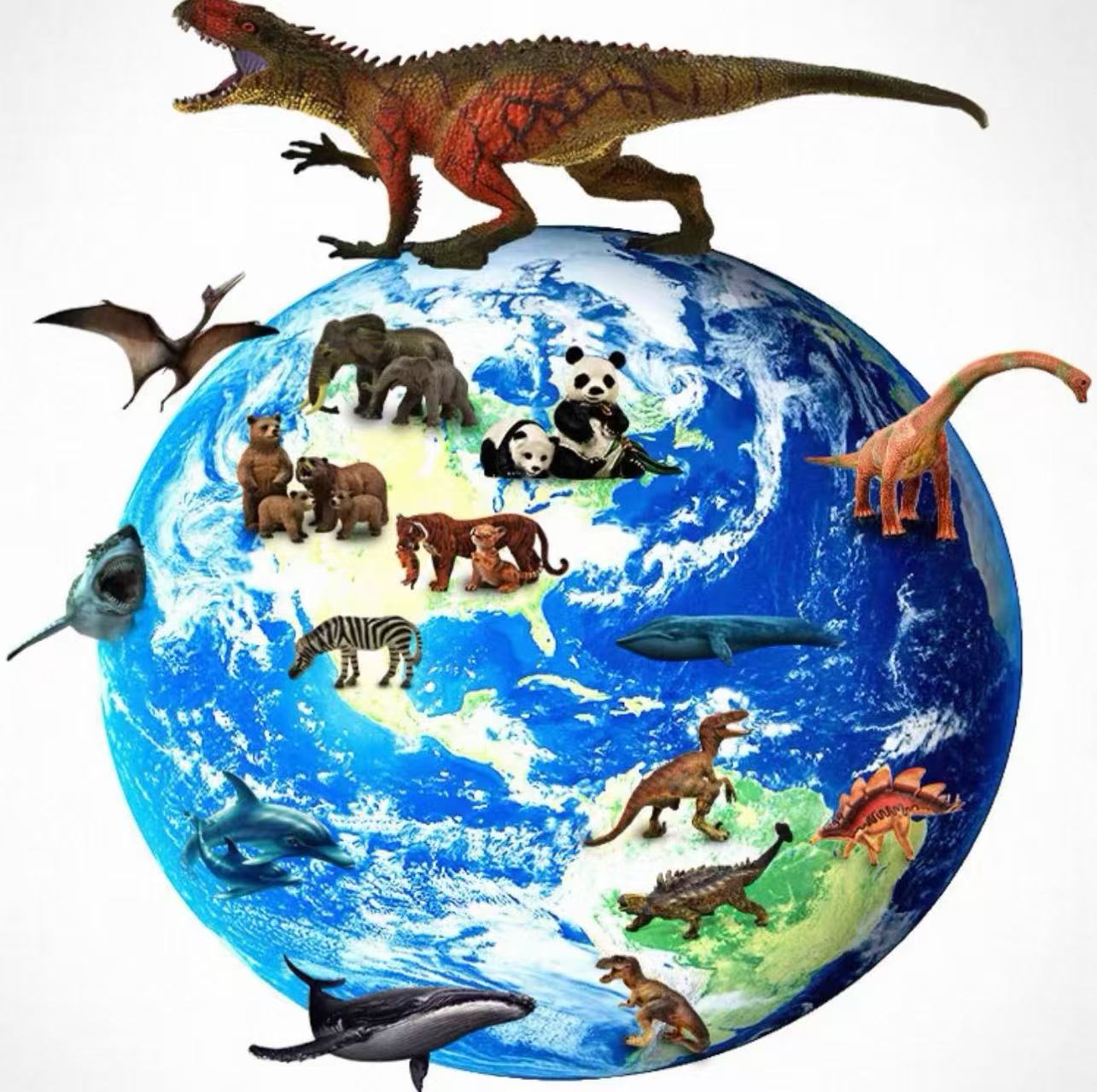 6动物模型 和主播确定价格及商品后再拍 勿私拍