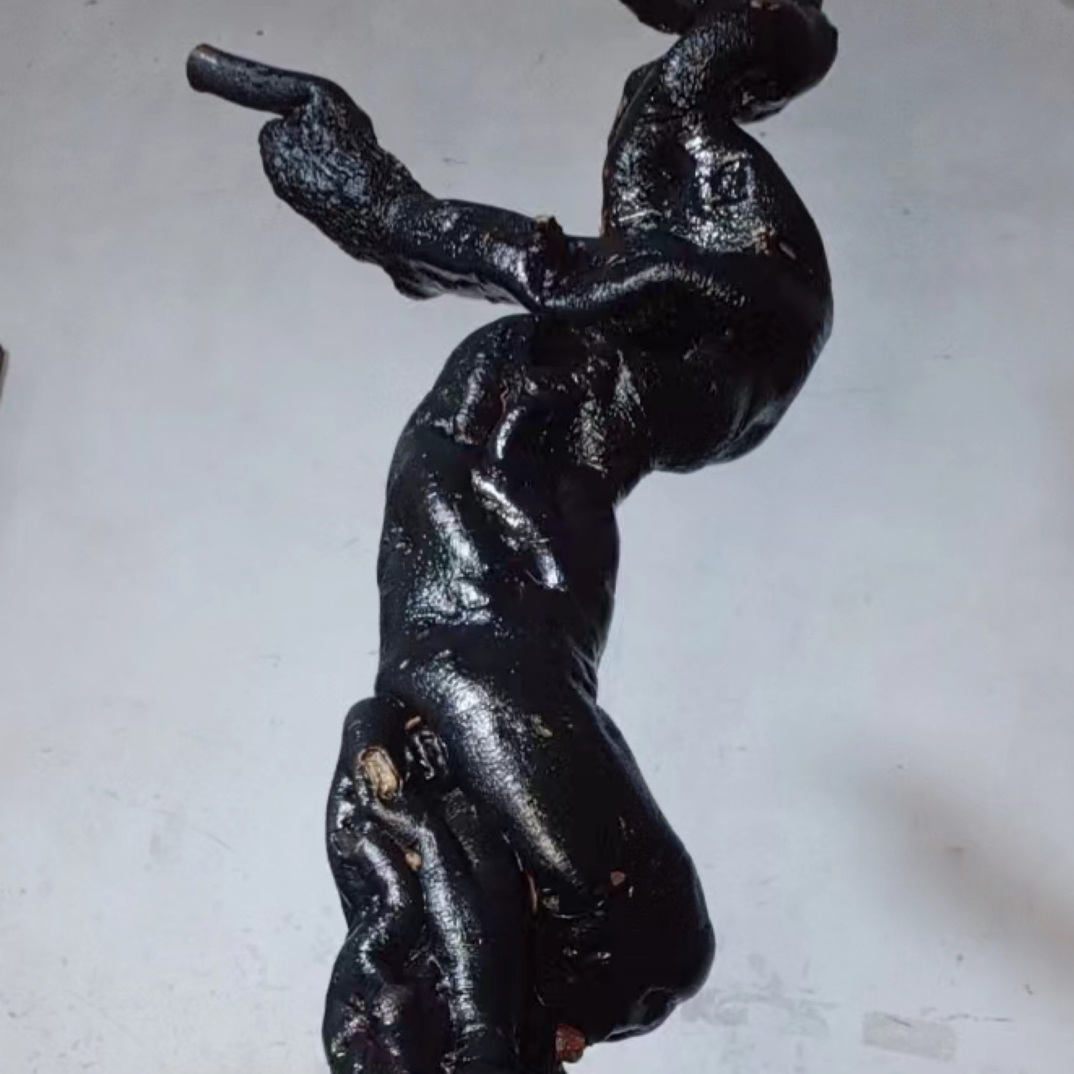 一物一拍：老鸦柿盆景素材