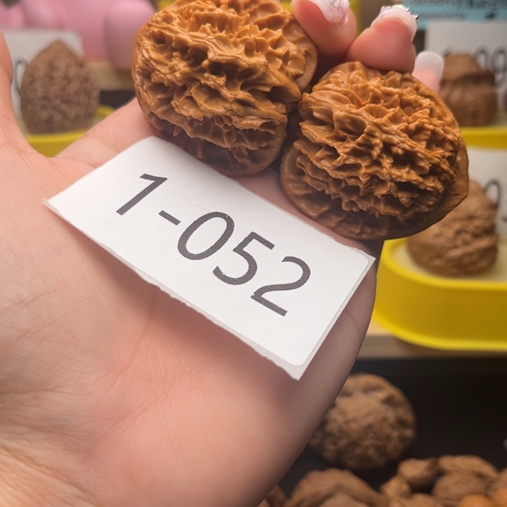 文玩核桃把件42帝王1052